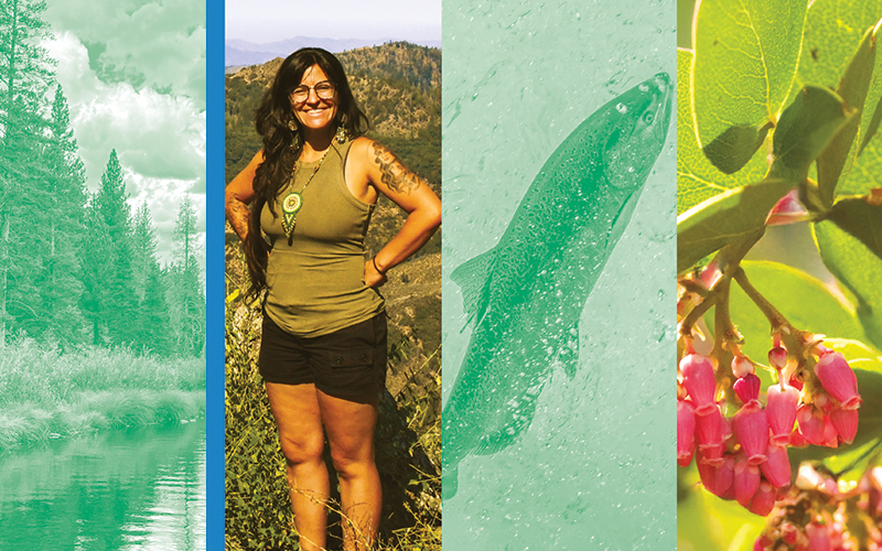 ForestLife: Winter 2026