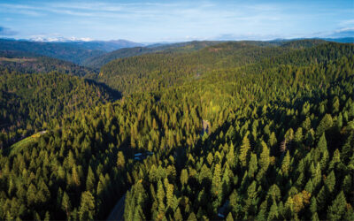 States Embrace Natural Climate Solutions