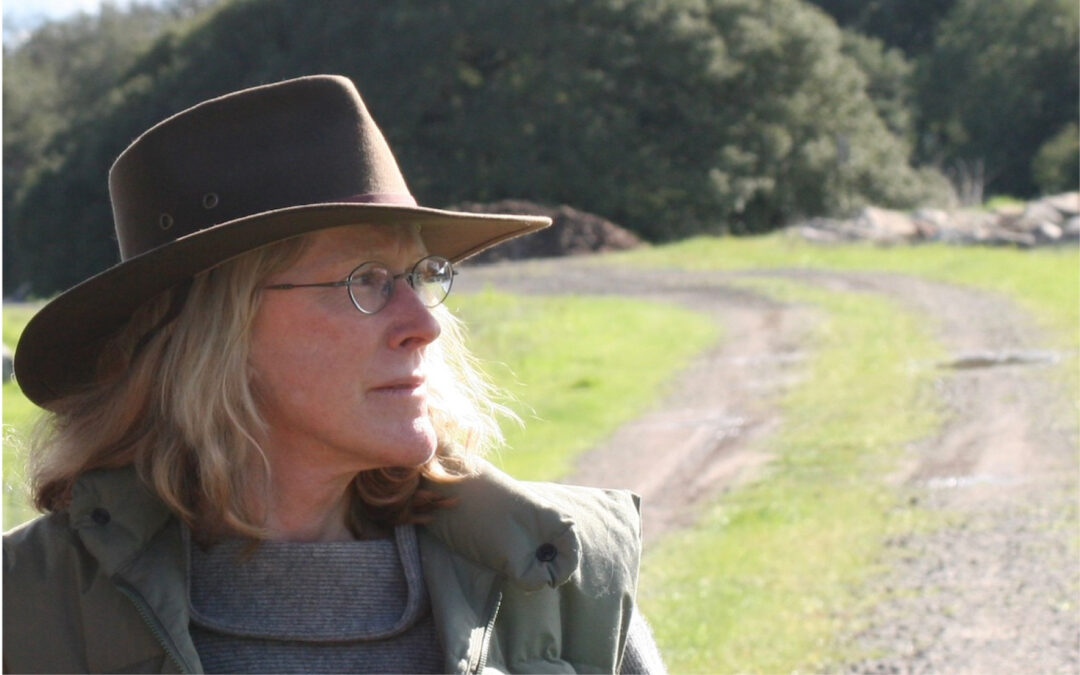 Ensuring Forest Futures