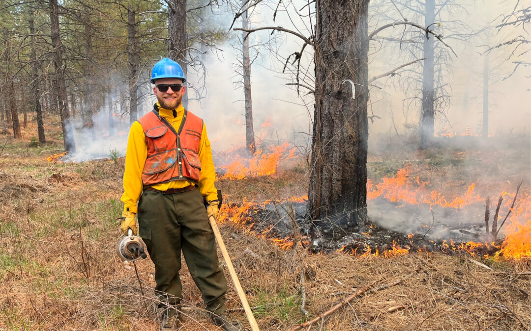 An Update from our Stewardship Team