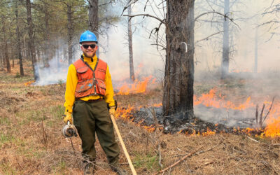 An Update from our Stewardship Team