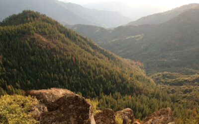 PFT Press Release – Nearly 900 Acres Bordering Yosemite Returned to Tribal Ownership in Historic Land Transfer