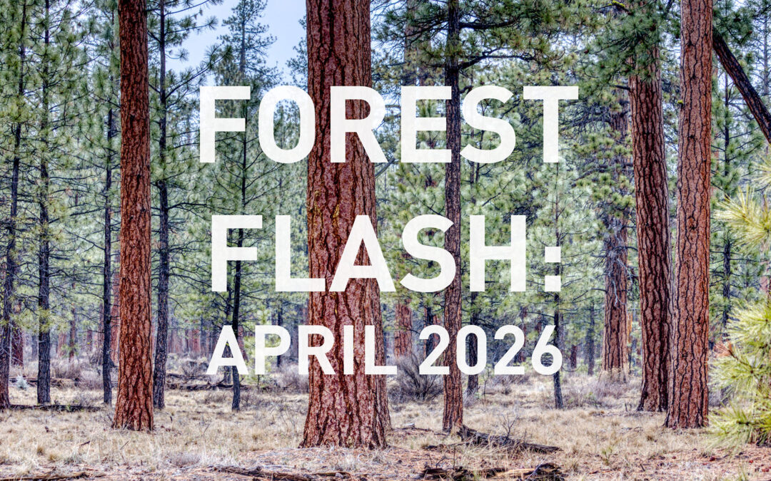 April 2026
