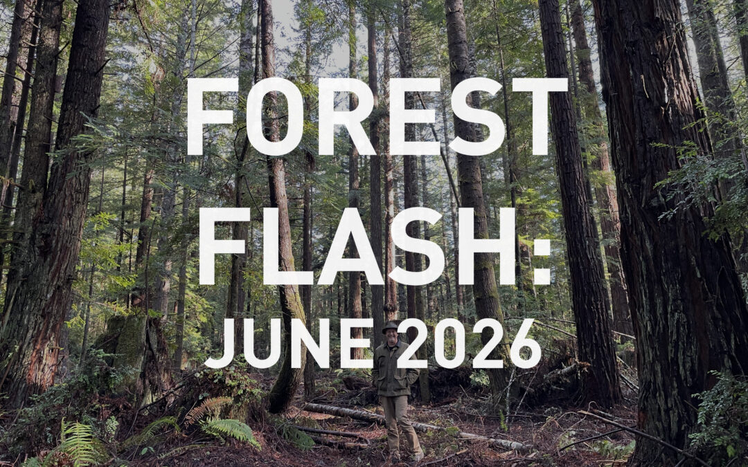 June 2026