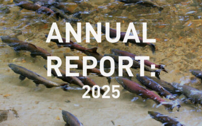 Annual Report 2025